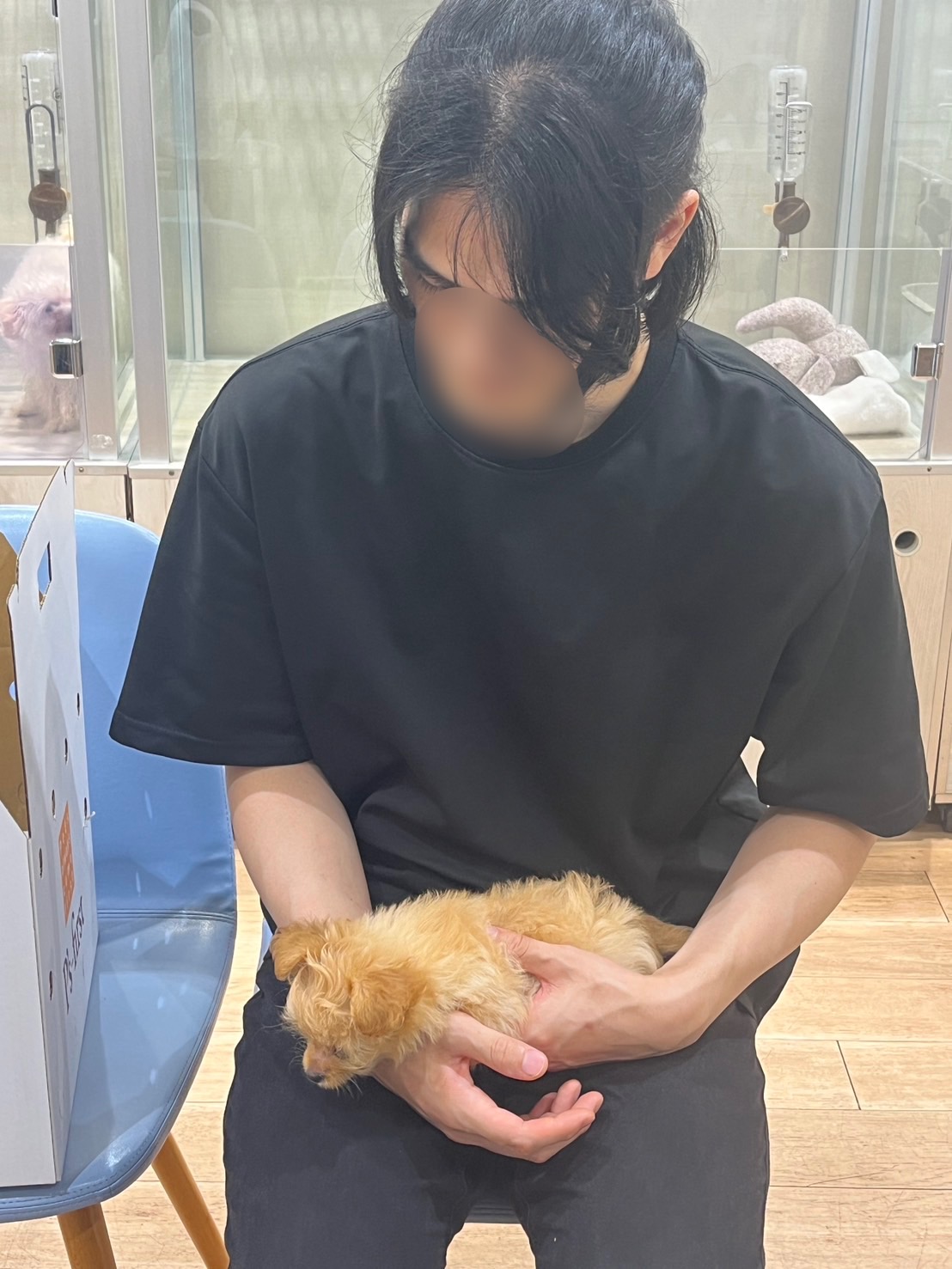 犬