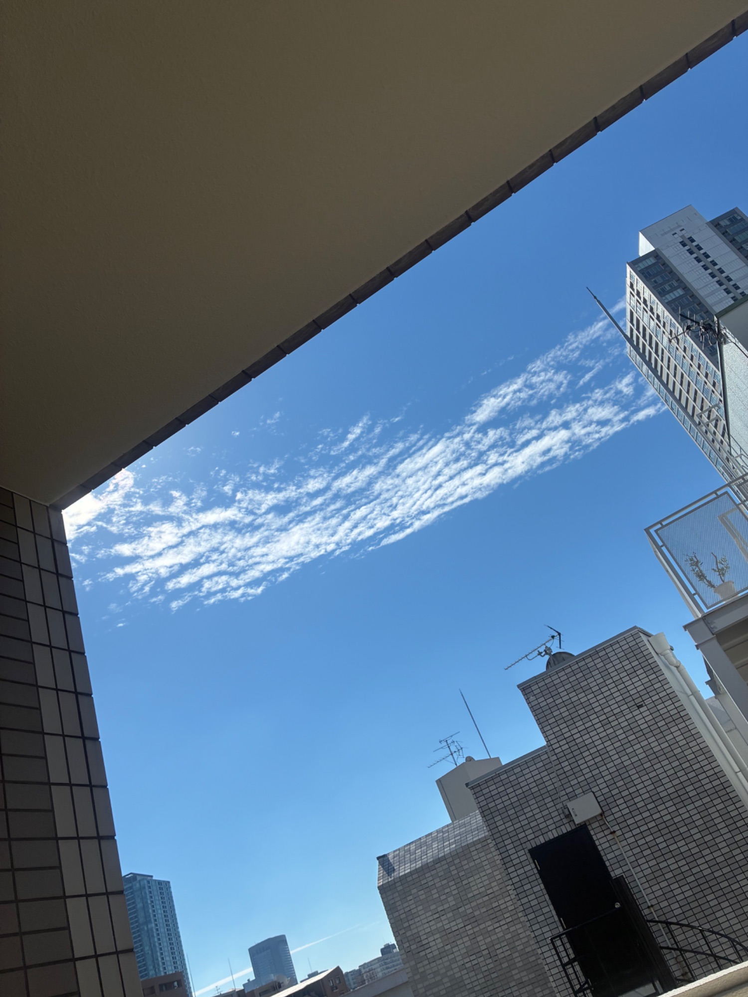 本日も晴天なり